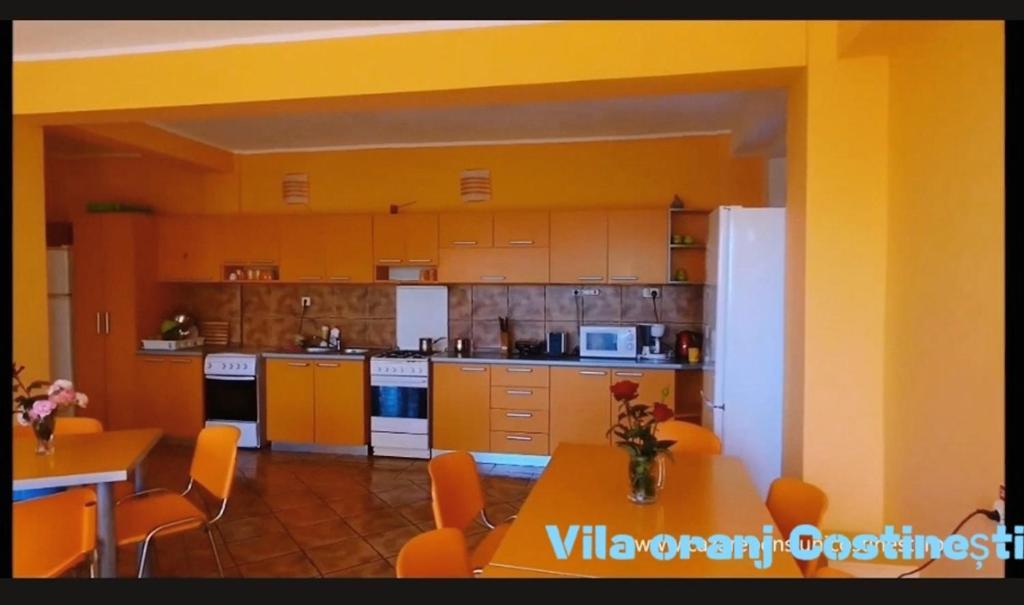 Готель Vila Oranj Костінешть Екстер'єр фото